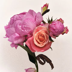 Lotion and Mist Duo - Petal Bloom Fragrance Pairing