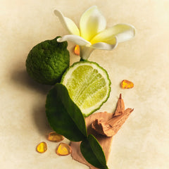 Scent Layering Trio - Solar Muse Layering Ritual