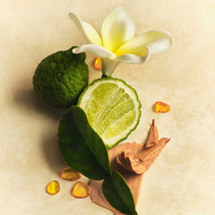 All Over Deo - Solar Muse Freshness Care