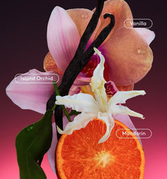 Daily Refresh Set - Super Pink Refresh Ritual