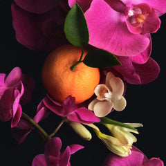 Scent Layering Trio - Super Pink Layering Ritual